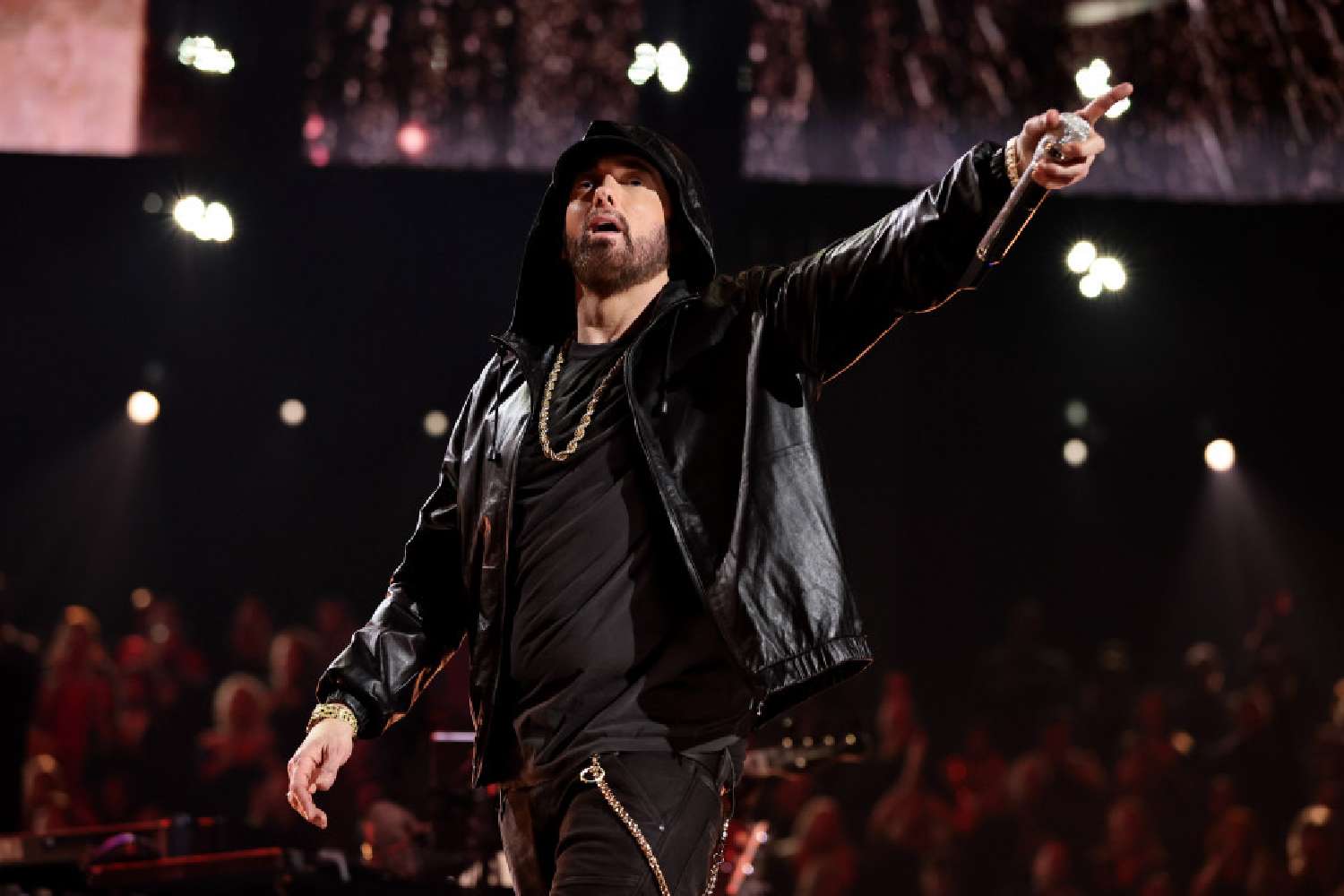 eminem reasonably shady