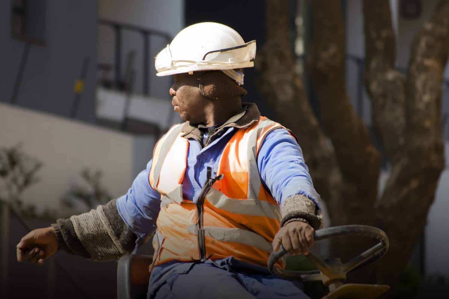 employment in South Africa industries unemployment