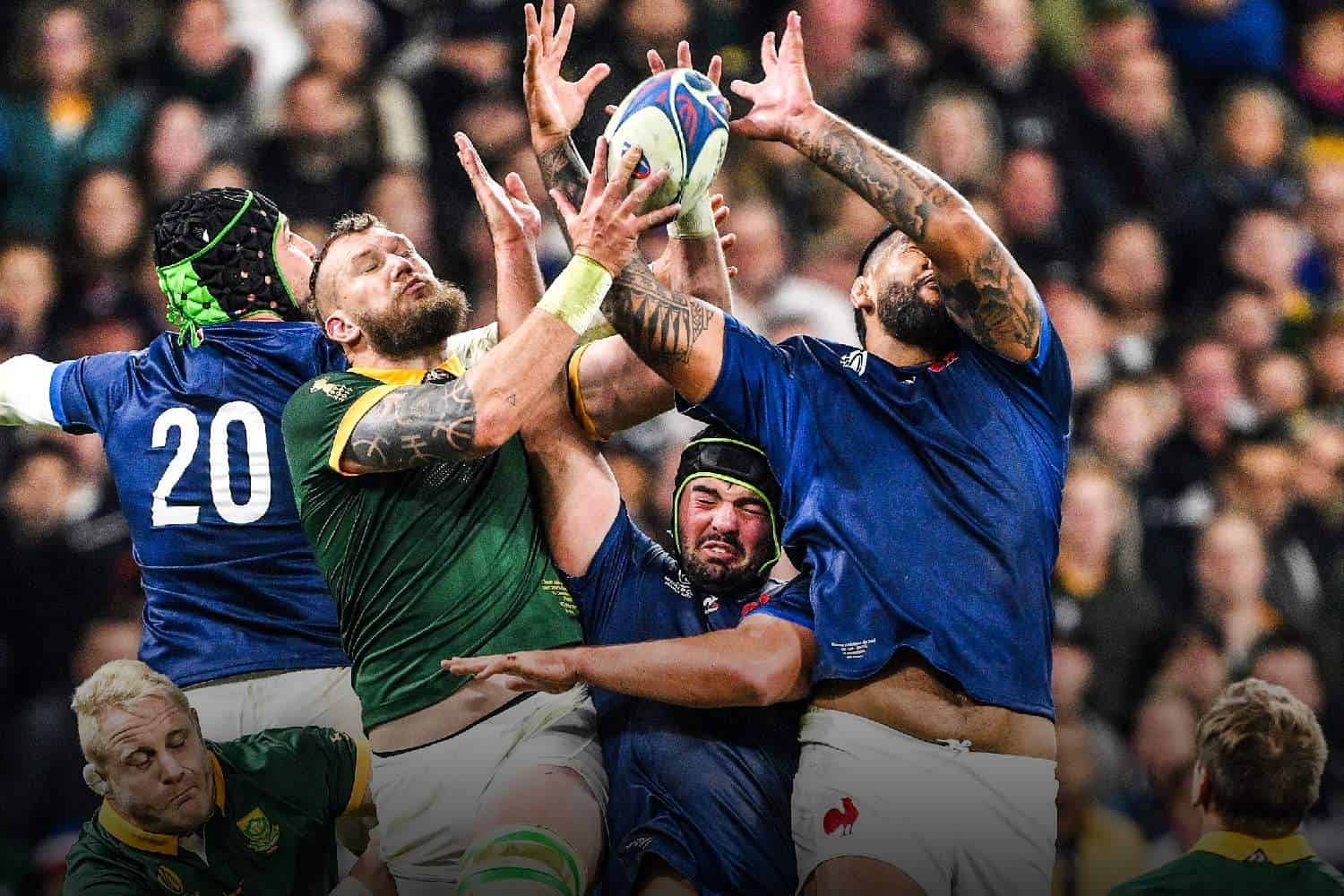 springboks France victory rugby world cup