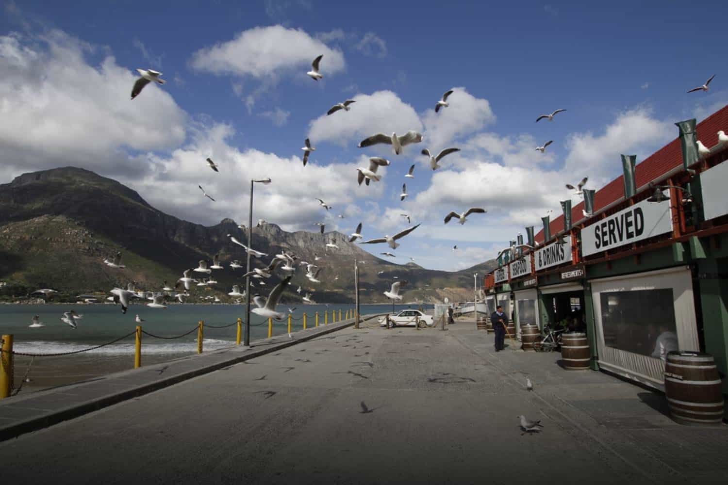 hout bay electricity outage February 2024