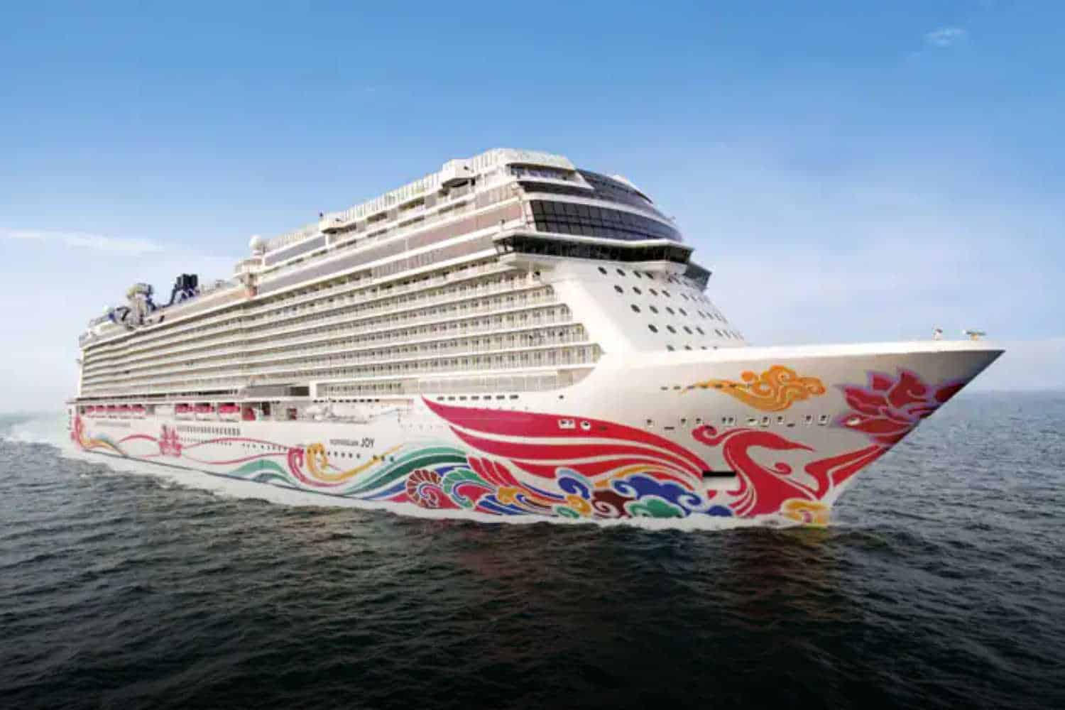 who is ntando sogoni mass stabbing cruise ship