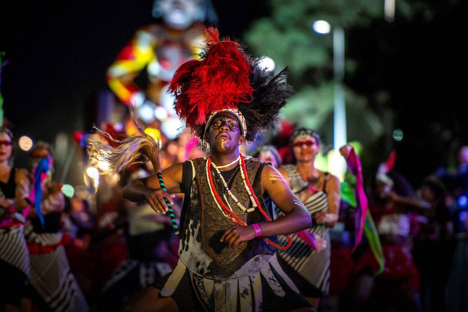 Cape Town carnival 2025