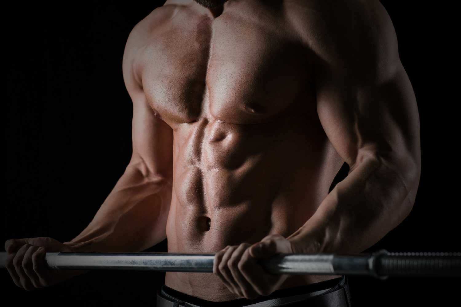 abs muscle