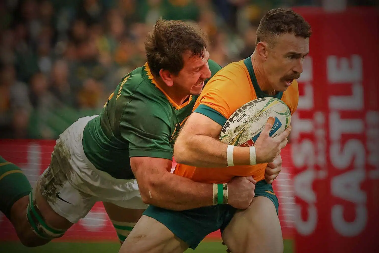 springboks vs australia