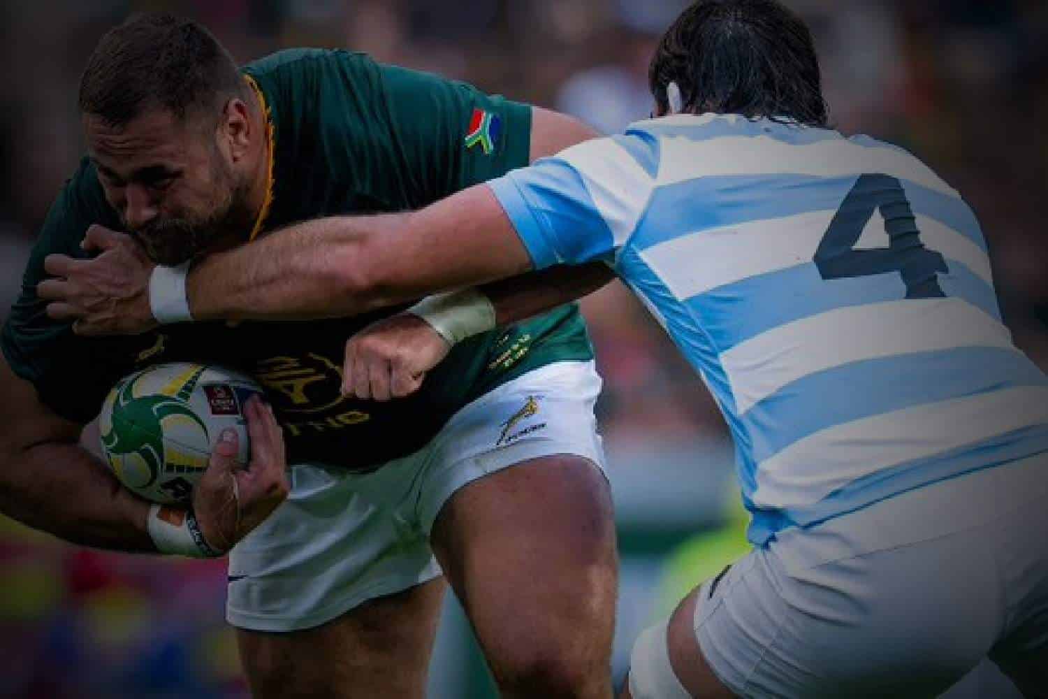 argentina vs springboks