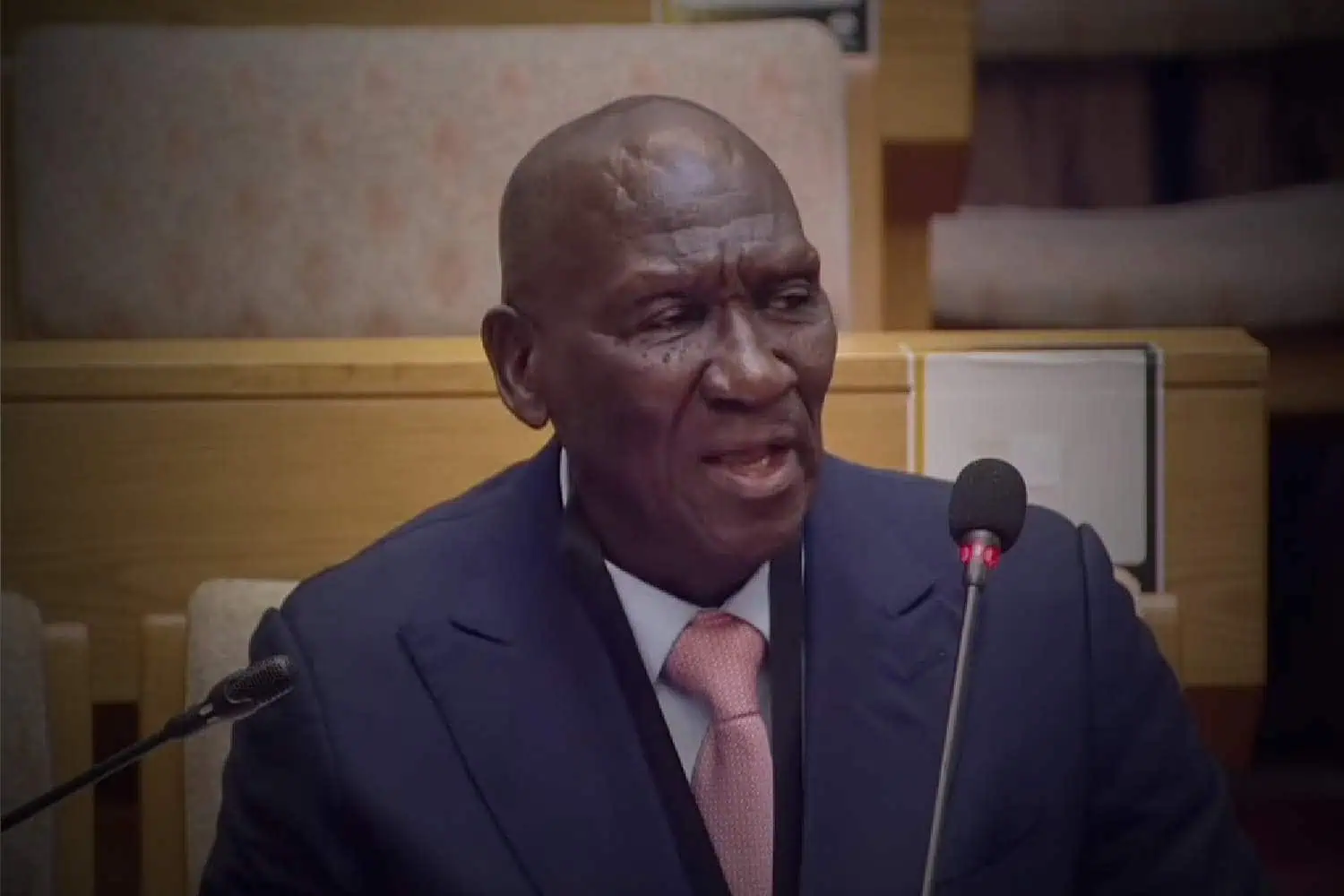 bheki cele parliament ad hoc committee