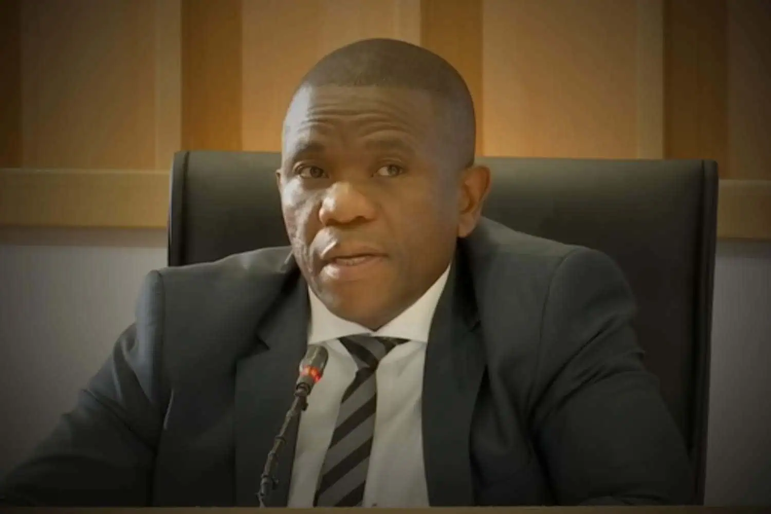 nhlanhla mkhwanazi ad hoc committee