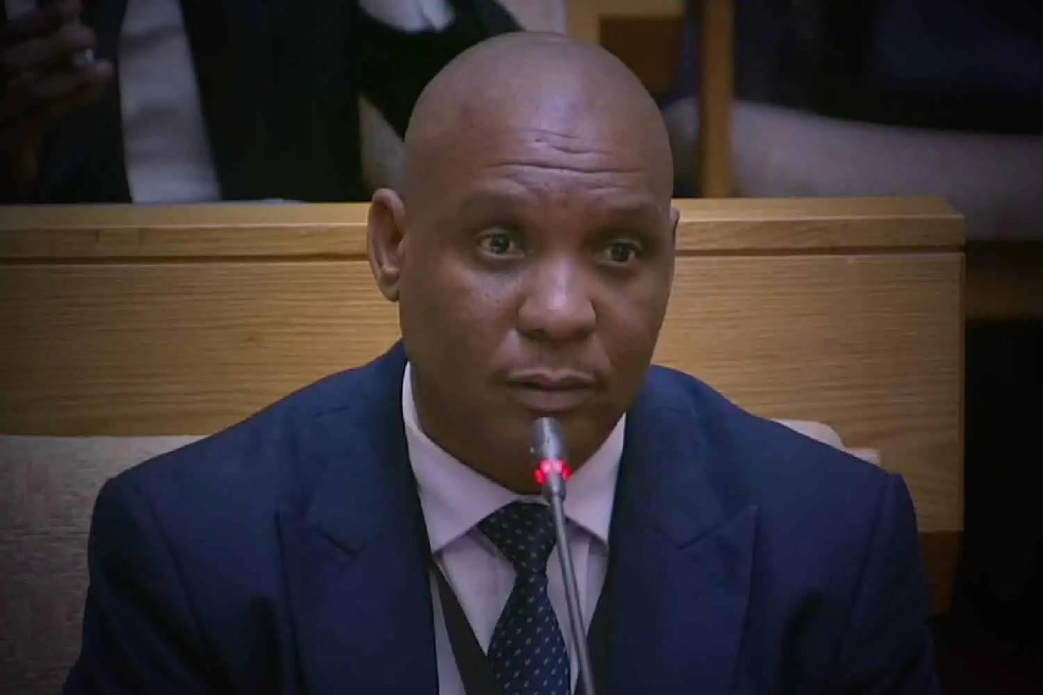 cedrick nkabinde parliament ad hoc committee 19 november 2025