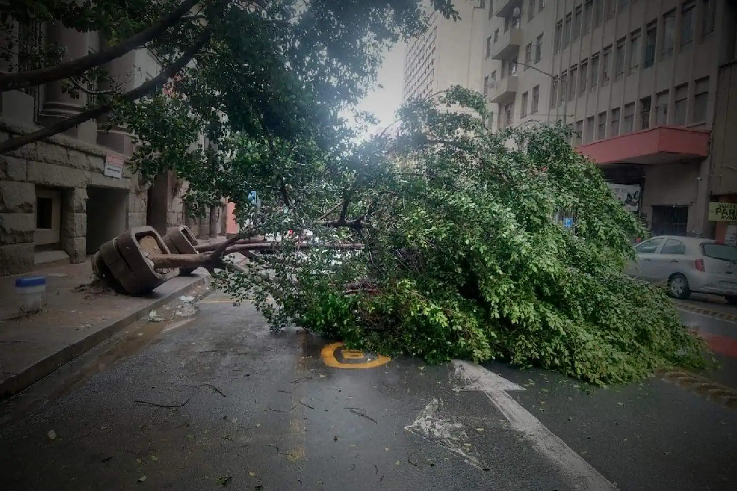 gauteng weather warnings