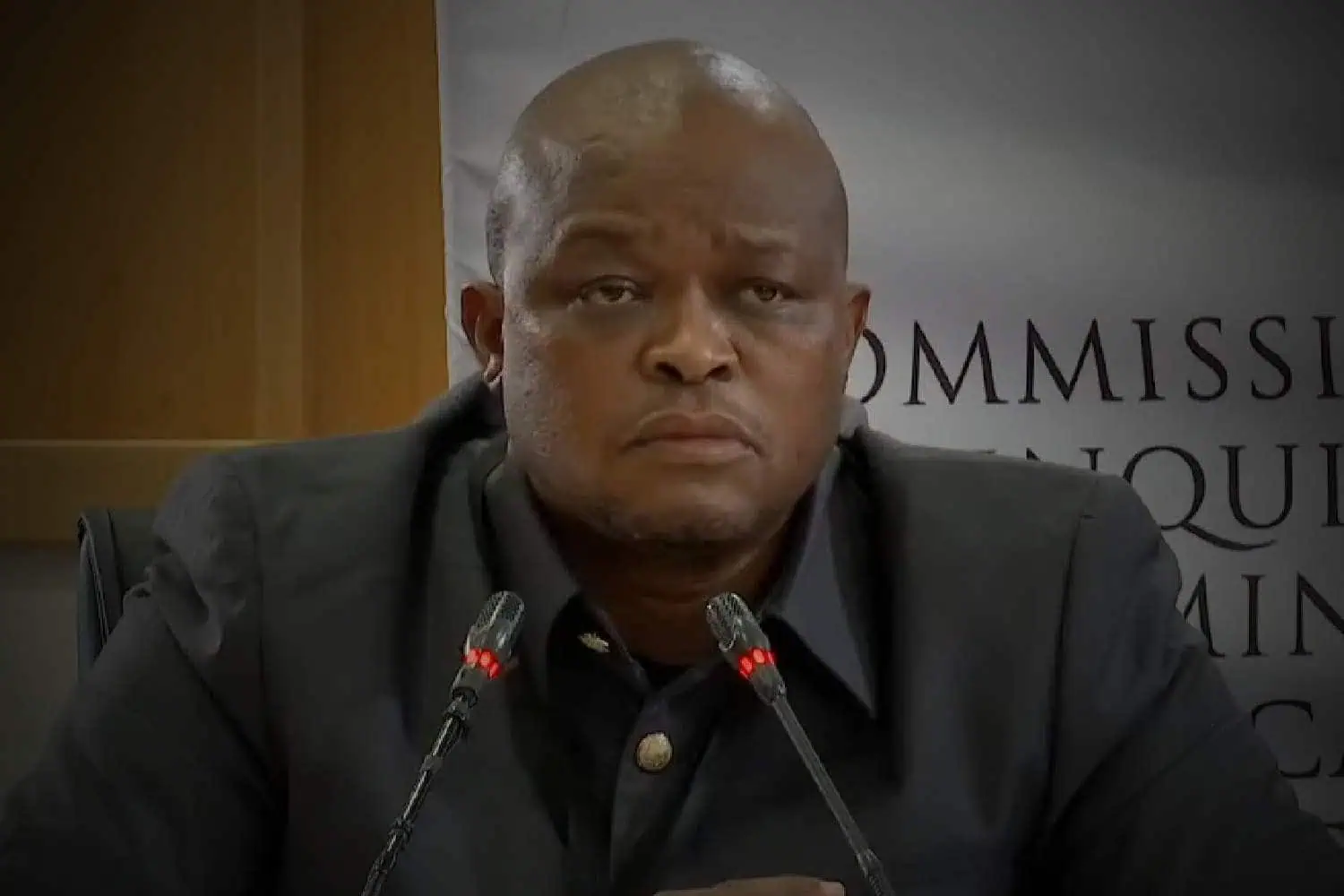 madlanga commission brown mogotsi 20 november 2025