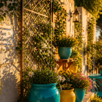 idee pour cacher un mur exterieur avec bardage bois et plantes