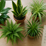 plantes d'interieur depolluante en pots