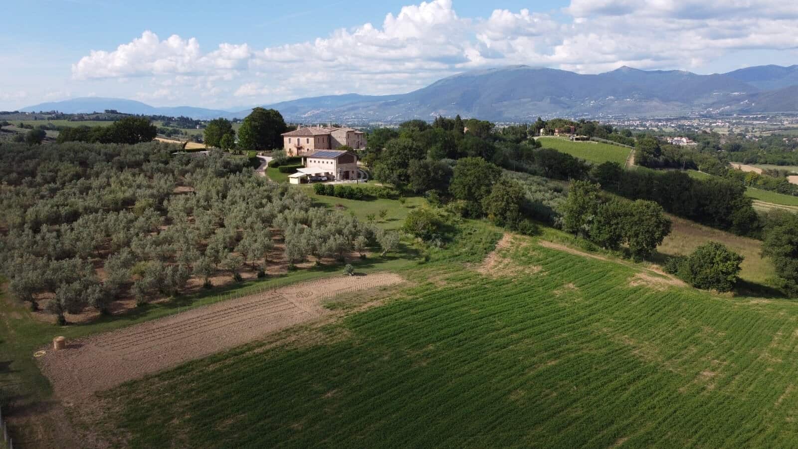 Vigneti e paesaggi con colline e cielo nuvoloso, ideale per yoga e relax.