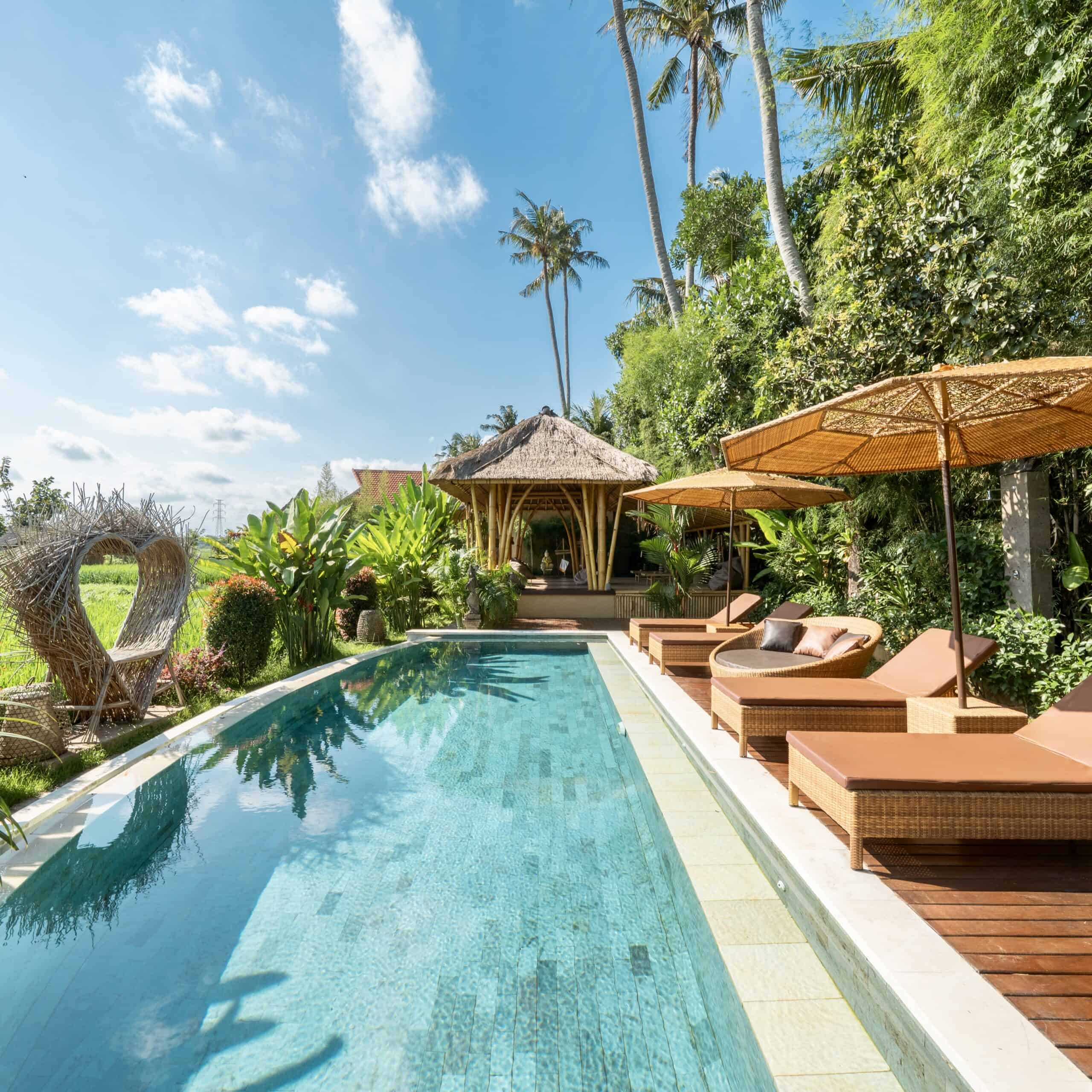 Piscina in stile tropicale con lettini e ombrelloni sotto palme.