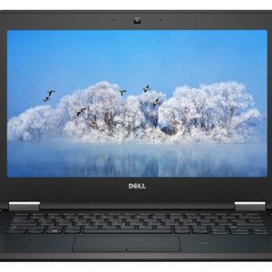 Άντραξ κέιμπλ και οθόνη υπολογιστή Dell, έκθεση σε λευκά δέντρα με πουλιά σε μπλε ουρανός.