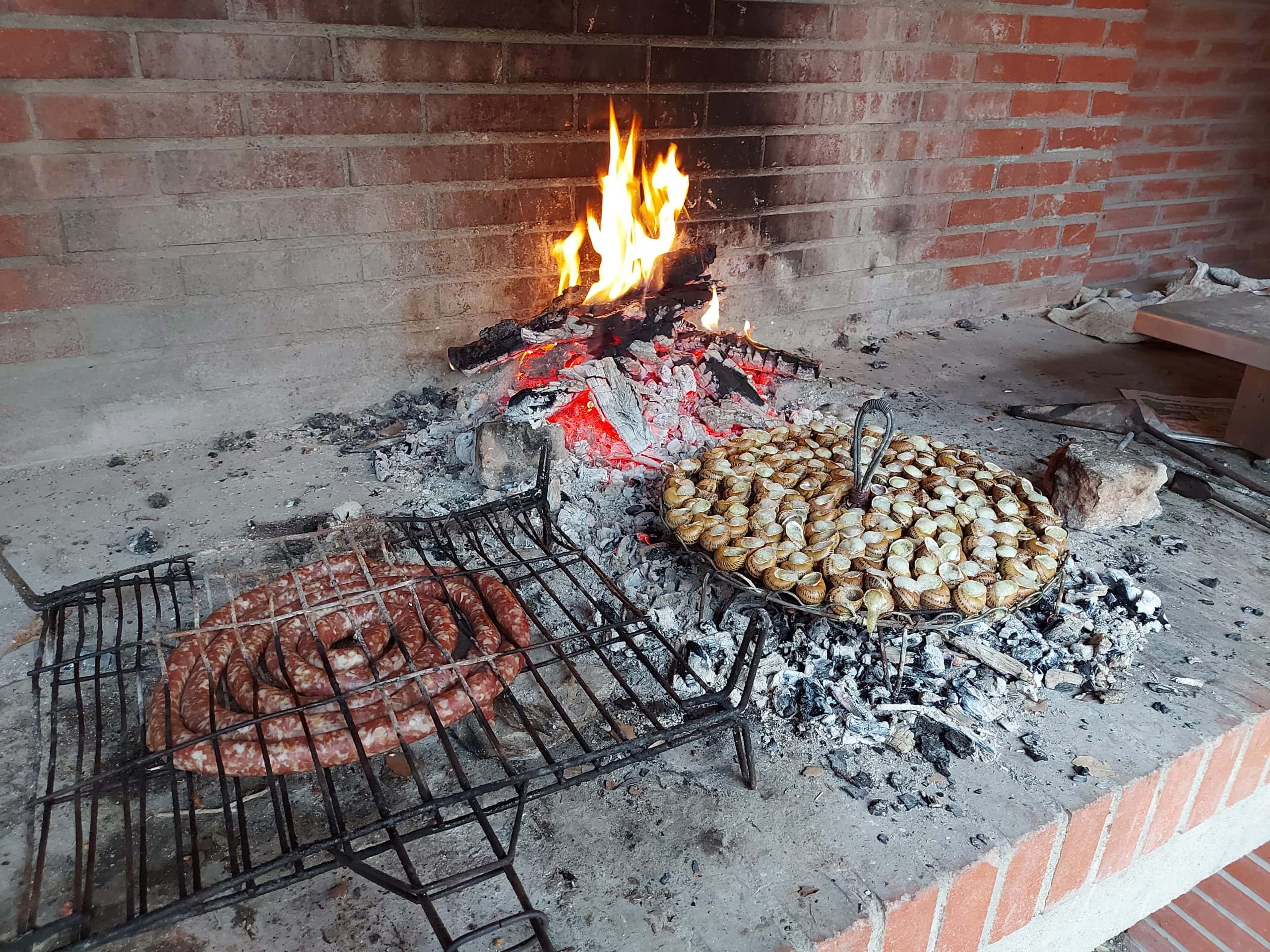 Activité