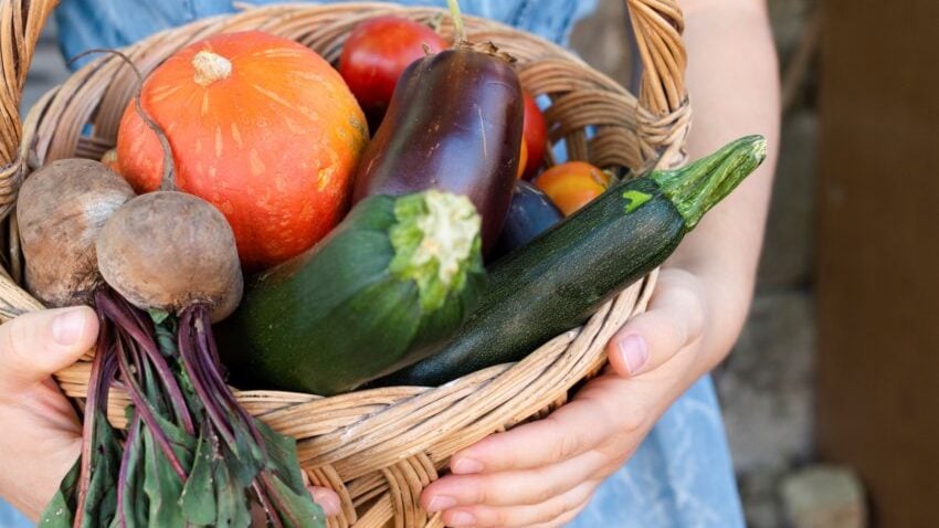 seasonal calendar fruits and vegetables