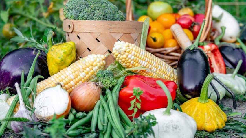seasonal calendar fruits and vegetables