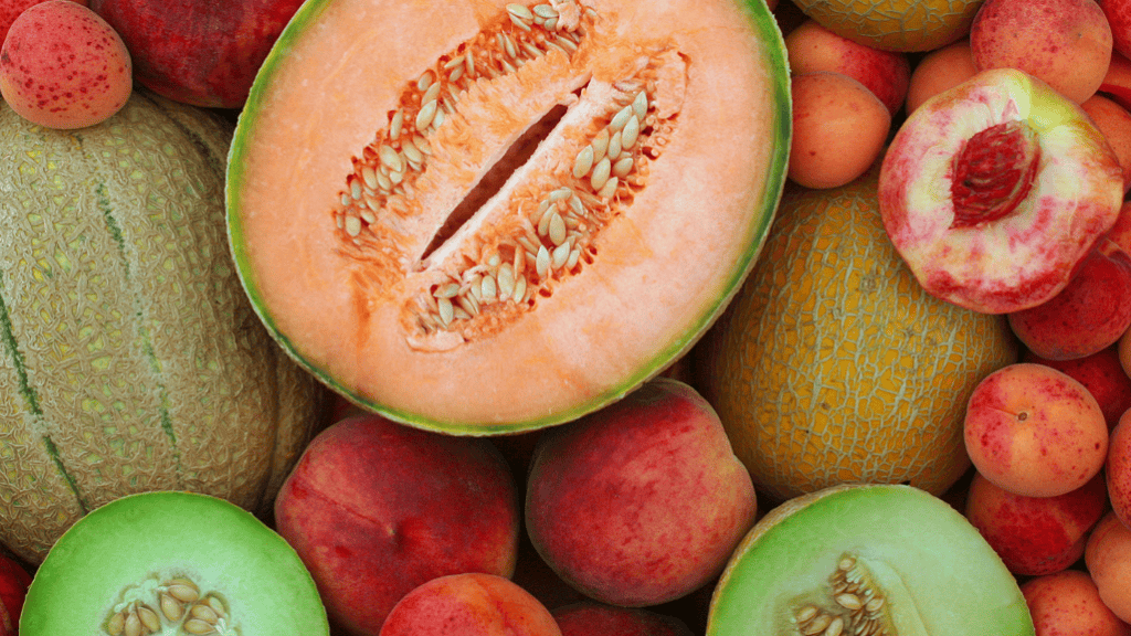melon et abricots dont certains ouverts, laissant apercevoir l'intérieur, avec pépins. calendrier des fruits et légumes d'été