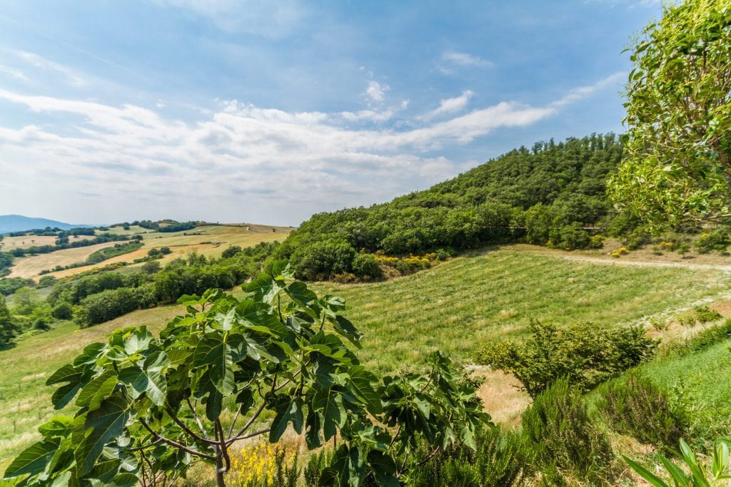 Voyage dans le cœur vert de l’Italie : itinéraire à la découverte de la région Ombrie vue du domaine de tenuta borgo santa cecilia, maison teritoria en ombrie