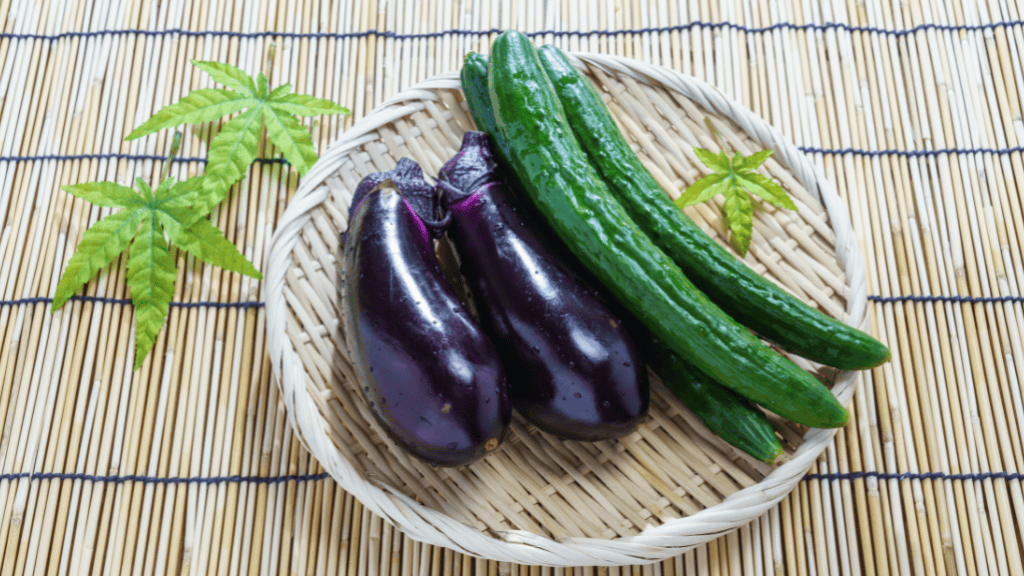 aubergines et concombres posés sur un plat en osier. style estival. calendrier des fruits et légumes d'été