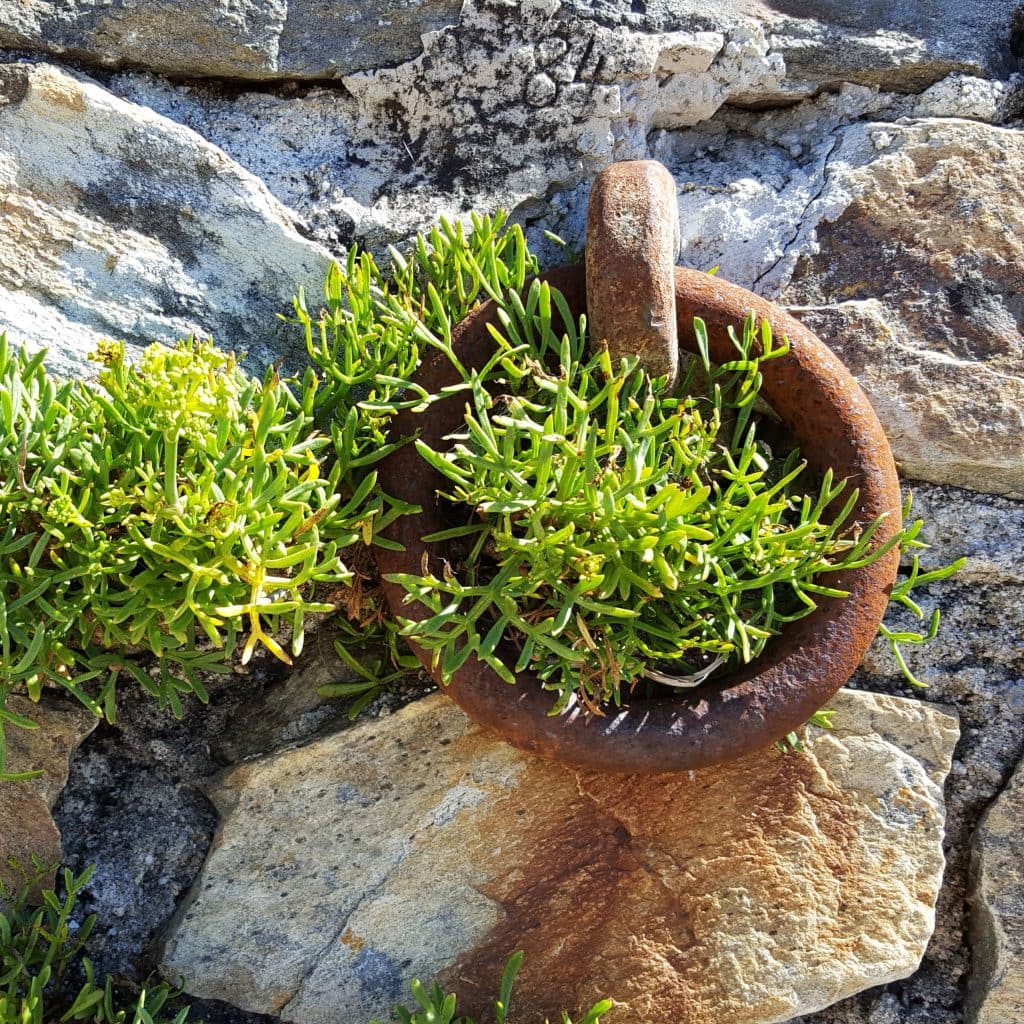 Weekend in Brittany: Two Gourmet Hotel-Restaurants to Discover criste marine 1