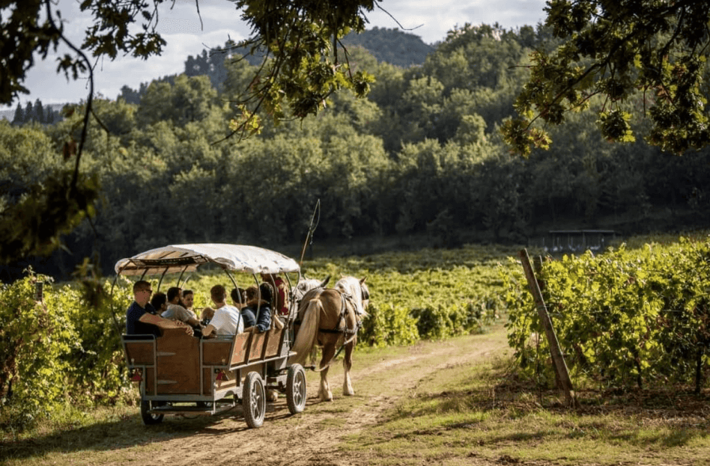 Voyage dans le cœur vert de l’Italie : itinéraire à la découverte de la région Ombrie image illustrative d'une balade en calèche, proche de castello di petrata, maison teritoria en ombrie