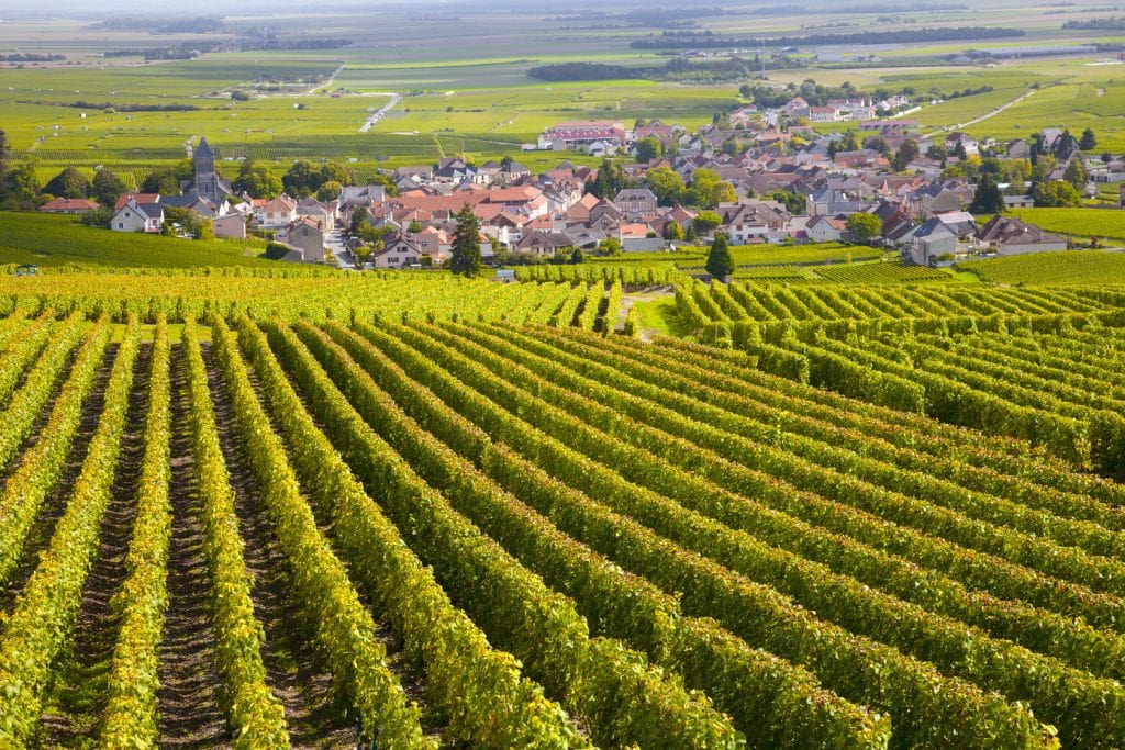 vignobles de bourgogne