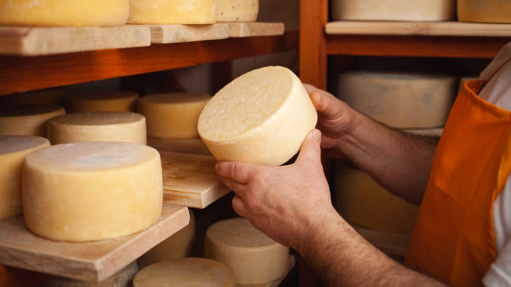 Journey Through the Green Heart of Italy: An Itinerary to Discover Umbria image illustrative de l'activité de visite de la ferme agricole massimiani, de production fromagère. un homme prend dans ses mais une roue de fromage.