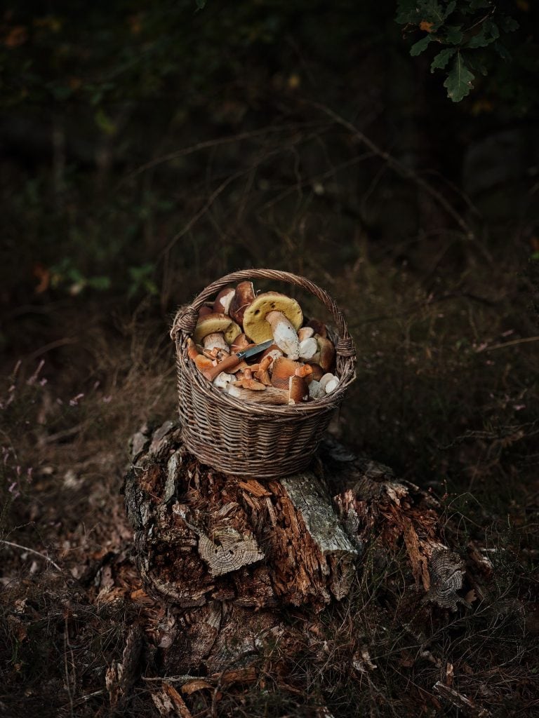 Le goût de la découverte : deux chefs, une même vision la table teritoria christophe hay ©julielimont 7.jpg compressed