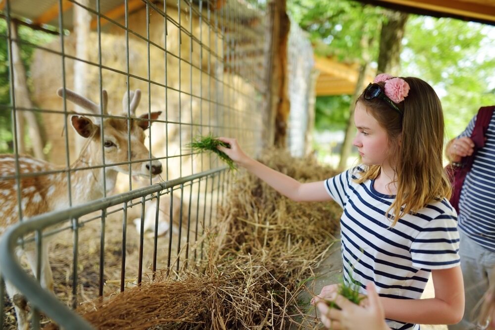 parc animalier