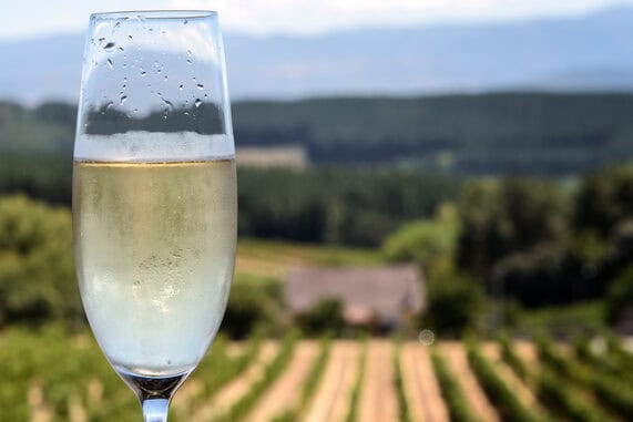 verre de champagne shutterstock 702022069 lux blue edited