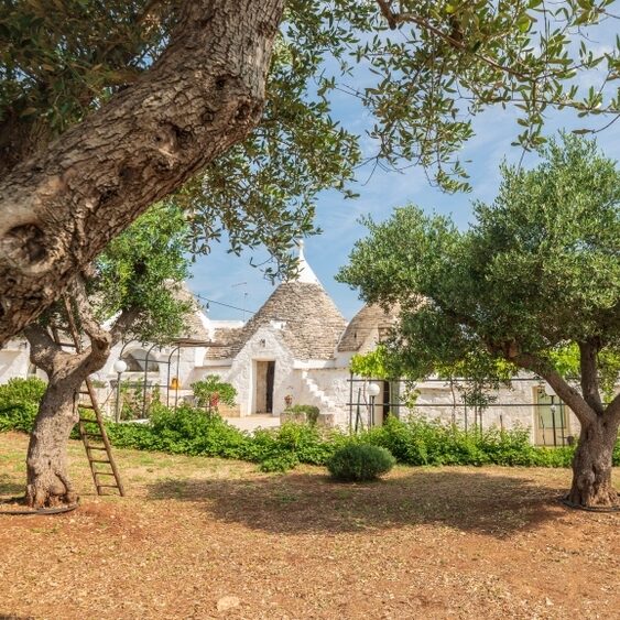 shutterstock 1421231000 cNicola Simeoni Trulli de la vallee dItria. Details dans le ciel. Pouilles Italie 1 edited