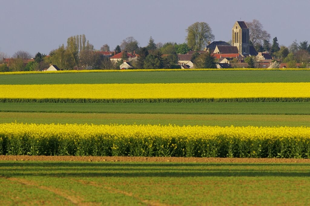 Champs vers auvers © Institut Van Gogh – photographe Erik Hesmerg 1