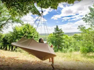 Voyager sans voiture