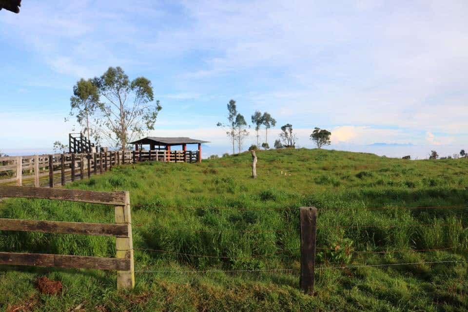 Grassy fields, lined with a wooden fence, dotted with sparse trees with a humble farmhouse in the distance.