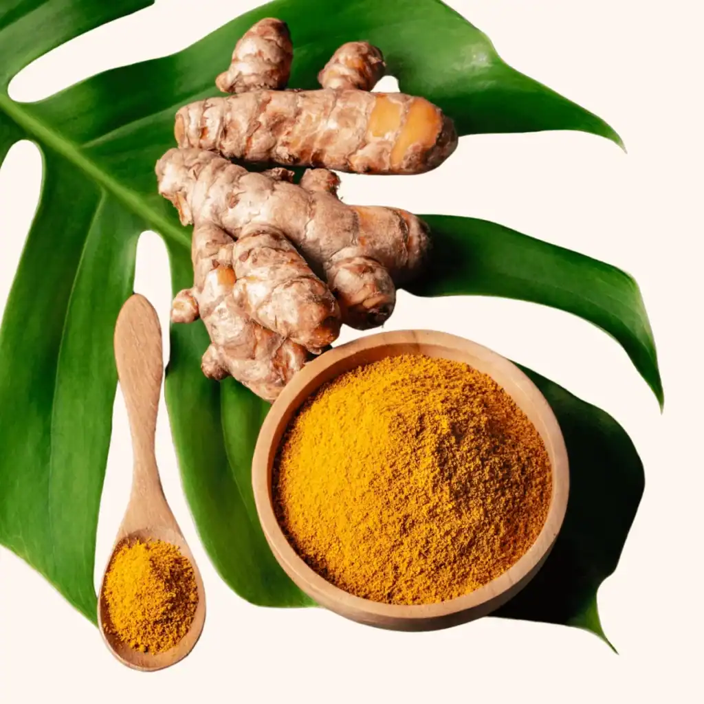 Turmeric-Powder-and-Fresh-Turmeric-Root
