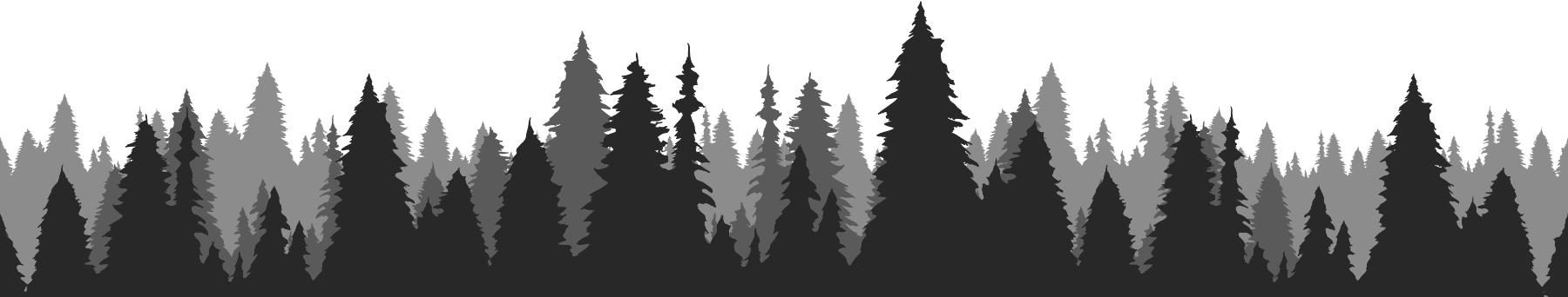 Silhouette of dark forest trees