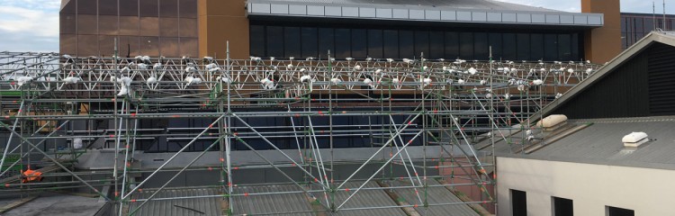 Photo 8-05-19, 8 16 37 AM