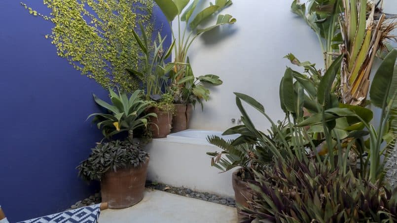 vacation-rentals-todos-santos-baja