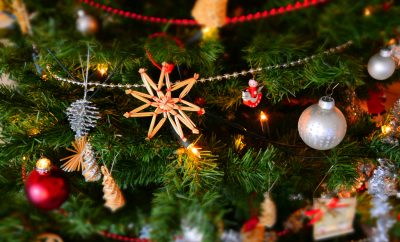 Why Baja California Sur Is the Ultimate Christmas Getaway