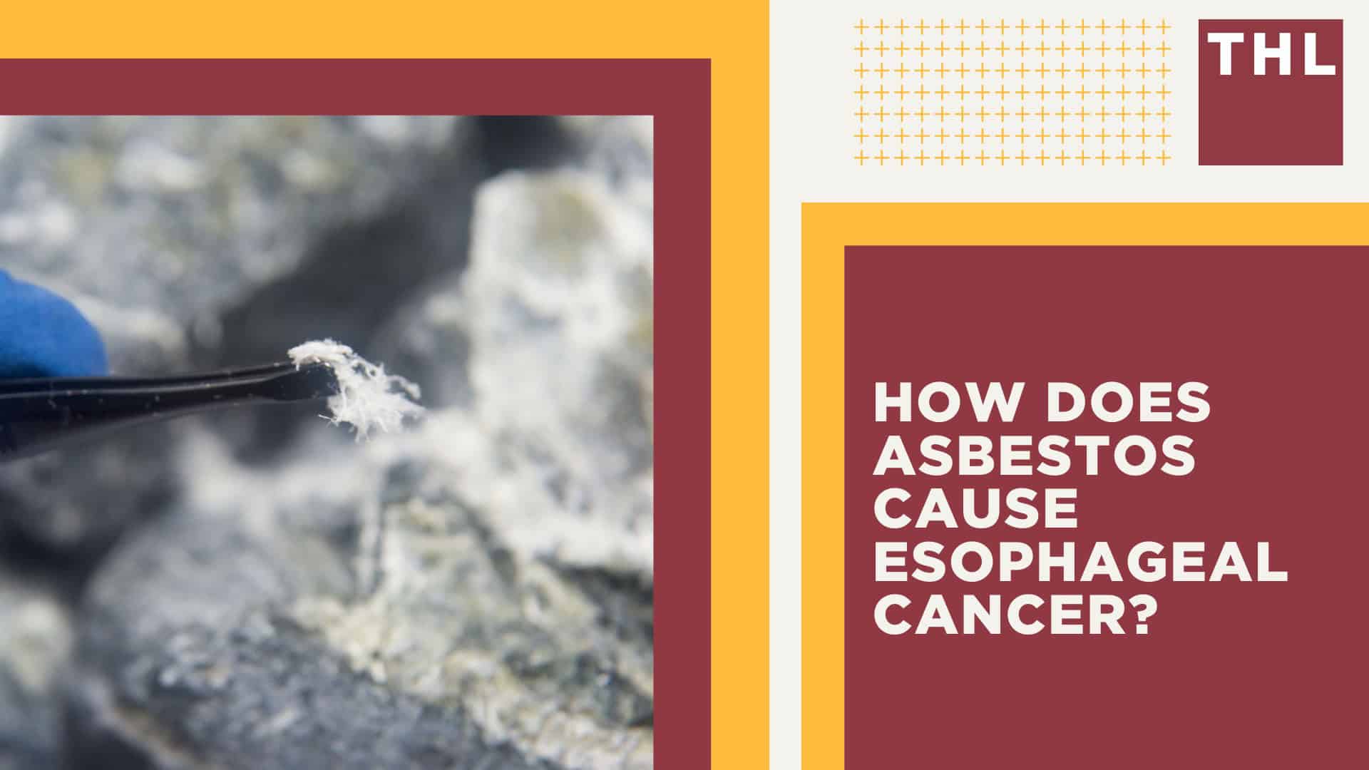Understanding the Widespread Use of Asbestos; Common Applications of Asbestos; How Does Asbestos Cause Esophageal Cancer