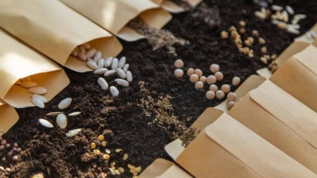 sachets de graines