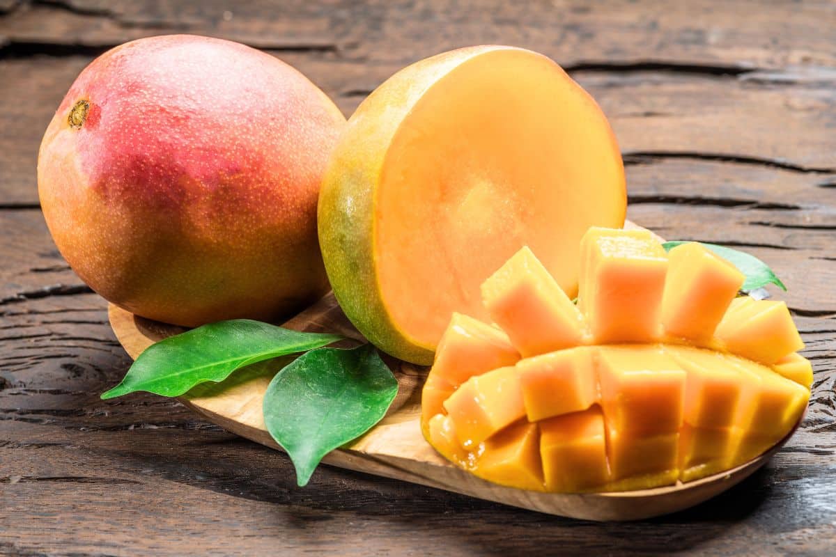 noyau de mangue