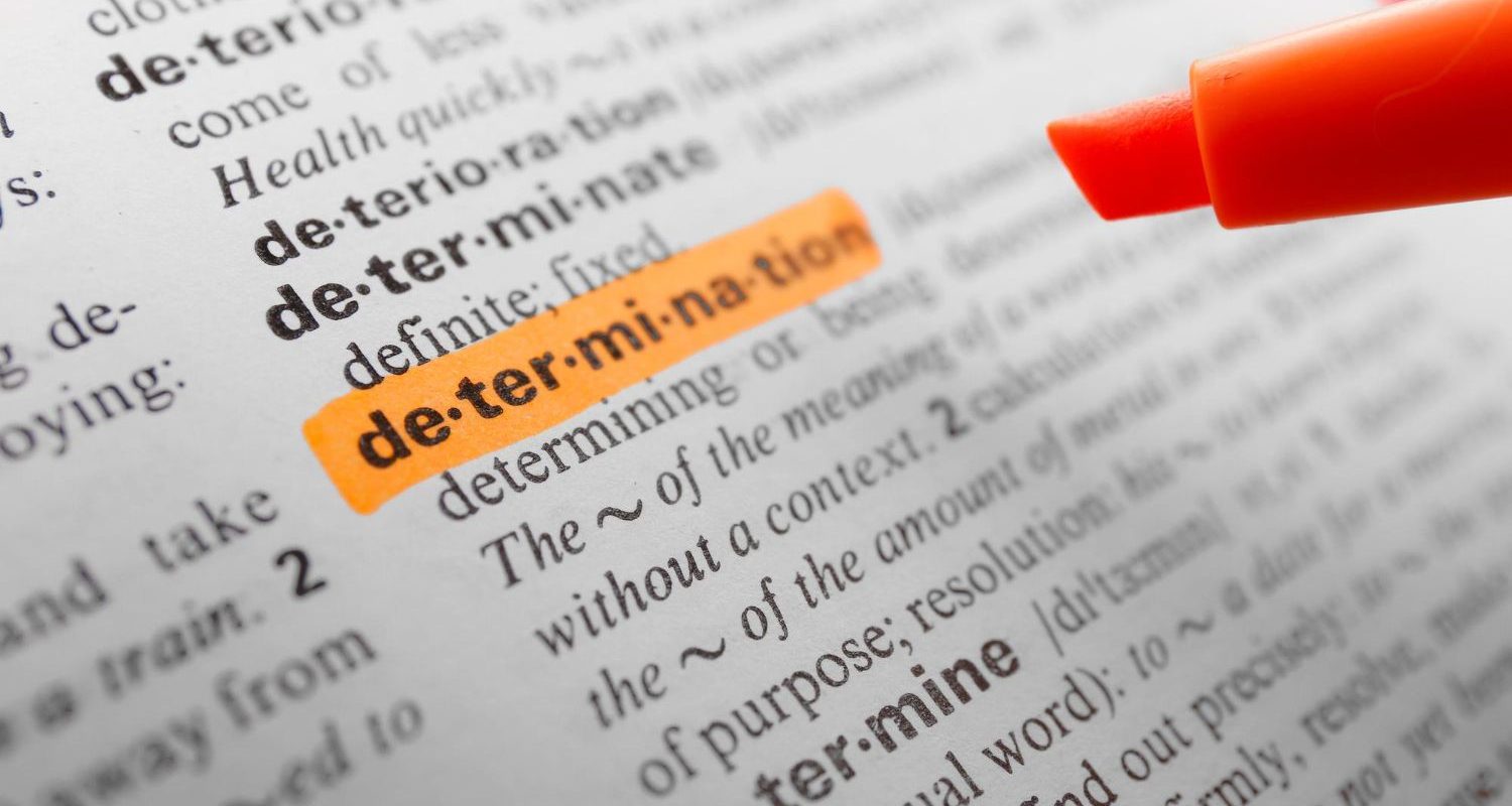 πολιτική λογοκλοπής