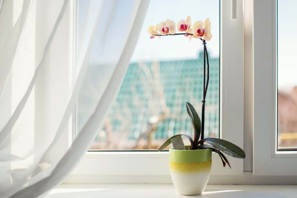 professional window cleaning - Upstairs Downstairs Cleaning Service professional window cleaning