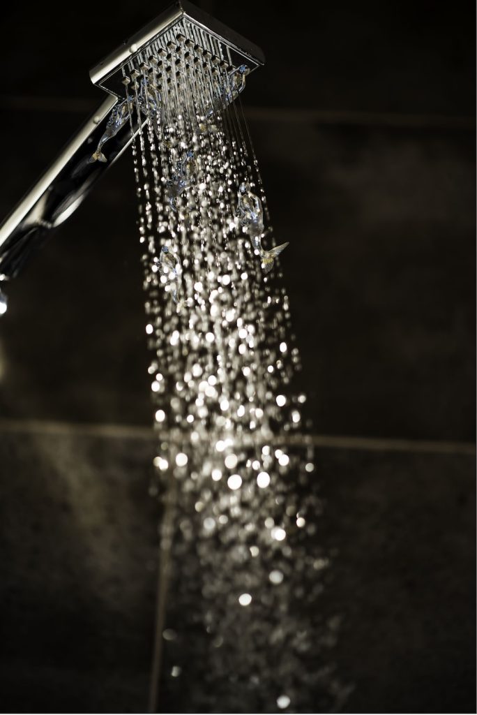 image-4 - Upstairs Downstairs Cleaning Service Cleaning Tips for Shower Heads