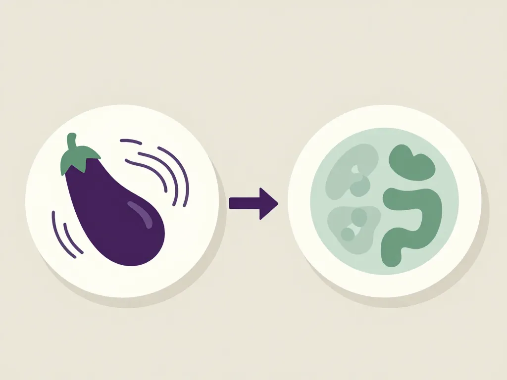 solutions alimentation problèmes gastro-intestinaux allergie aubergine