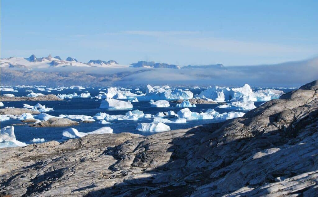 Usar sacolas de compras reutilizáveis ajuda a Veriff a se tornar uma empresa mais sustentável