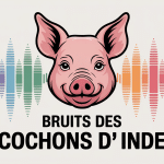 illustration bruit cochons d'inde avec titre